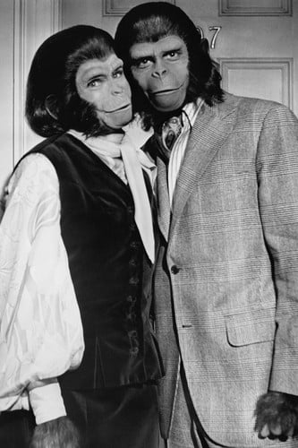 Kim Hunter/Planet Of The Apes